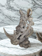 Escultura Cabeza De Rinoroca En Resina