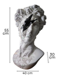 Busto David Rayo Blanco En Resina