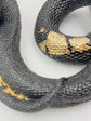 Escultura De Cobra Con Cuarzos Naturales